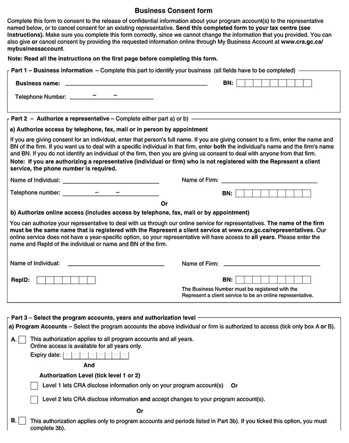 Printable Business Consent Form Template