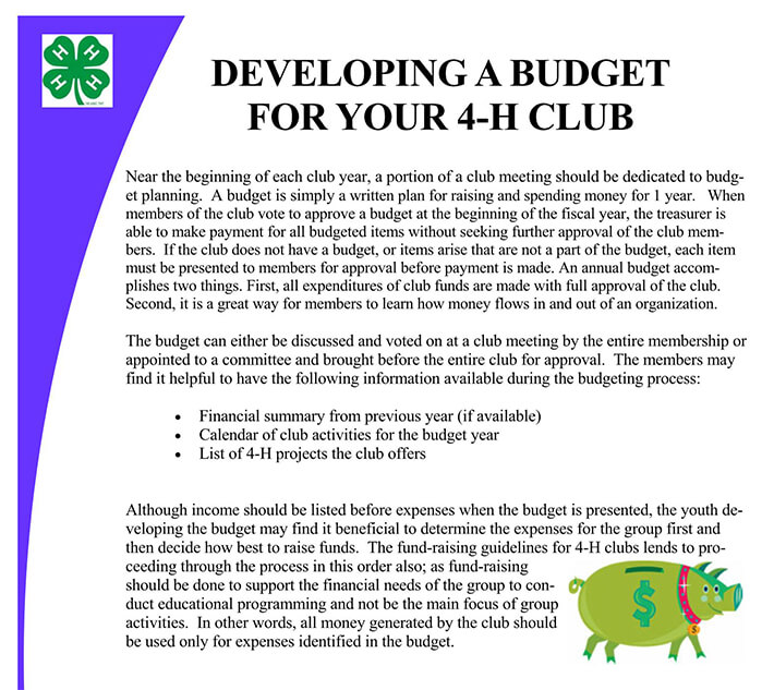Editable Club Budget Format