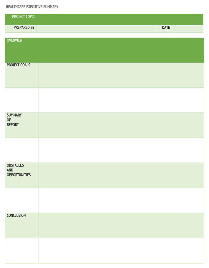 project management executive summary template