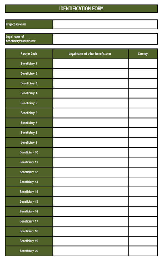 business budget template excel
