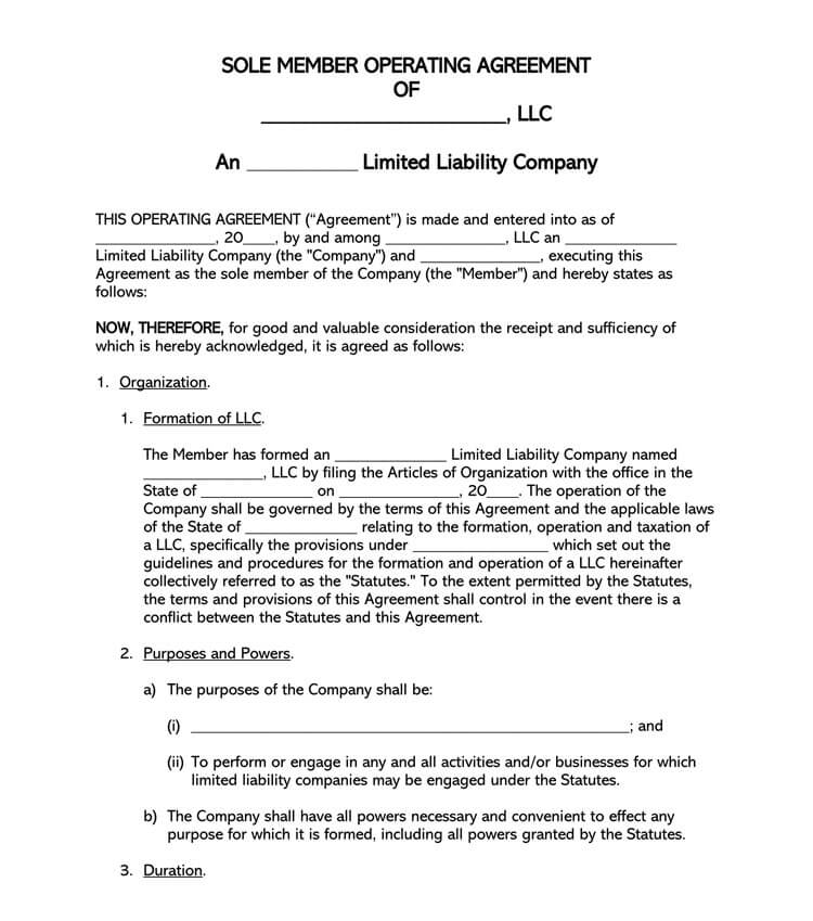 Single Member LLC Operating Agreements