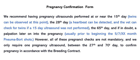 Pregnancy Verification Form 08