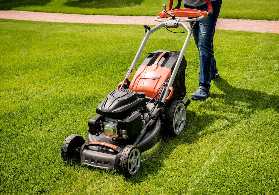 Free Lawn Care Contract Templates Things To Include 