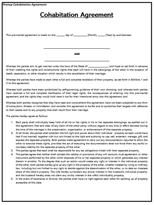 Cohabitation Agreement Template 17