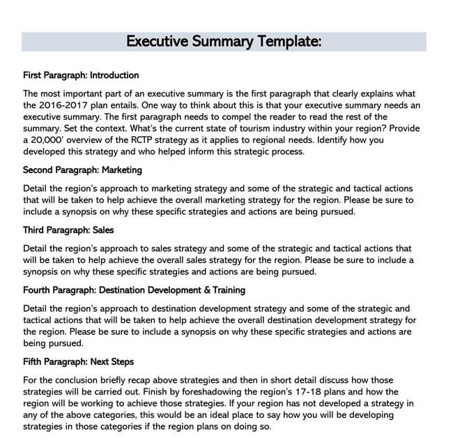 Professional Customizable Executive Summary Template 12 as Word File