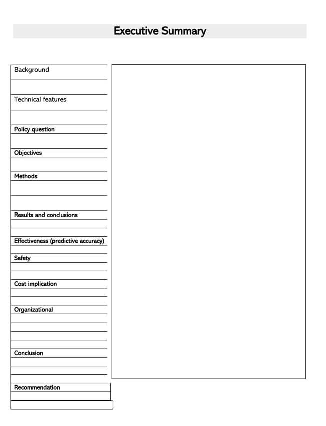 Great Printable Executive Summary Template 20 as Word File