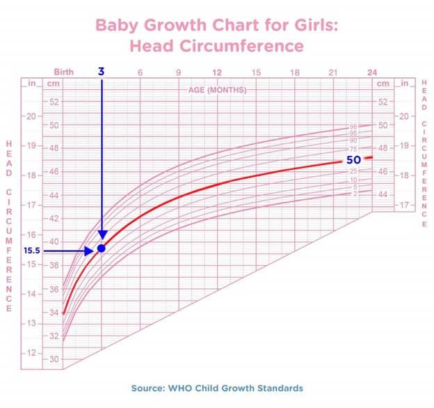 Head circumference baby growth chart