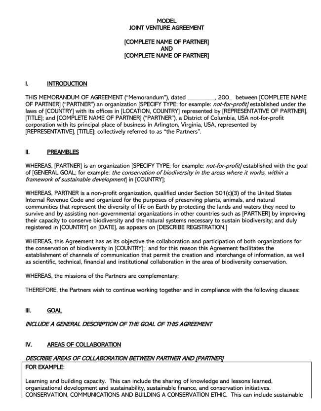 Joint Venture Agreement Template 12