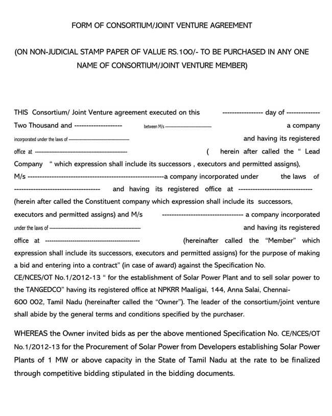 Joint Venture Agreement Template 29