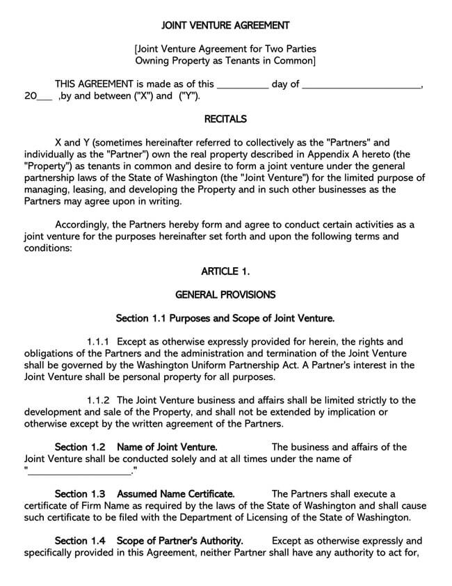 Joint Venture Agreement Template 41