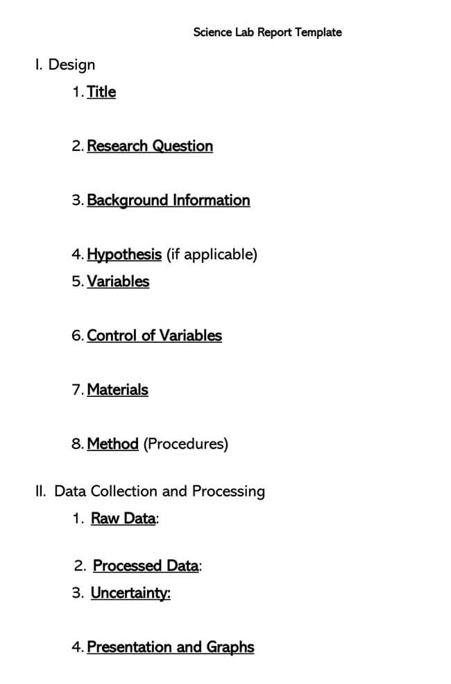Lab Report Template 03