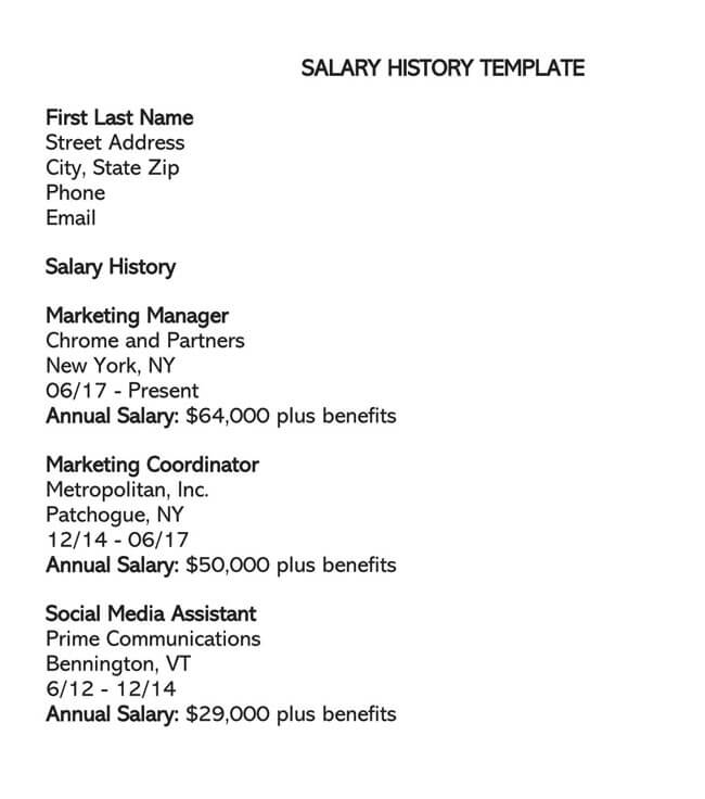 Editable Salary History Template 02 in Word