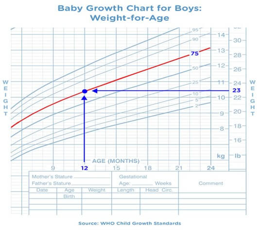 Weight-for-age Baby Growth Chart 