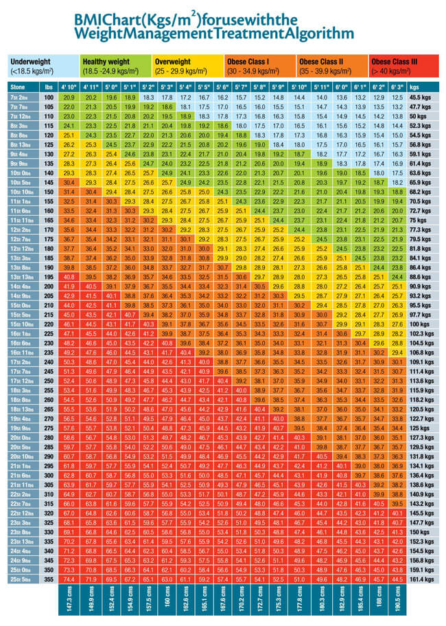 Bmi Chart Printable Pdf