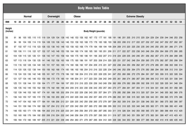 Excel BMI Chart Template