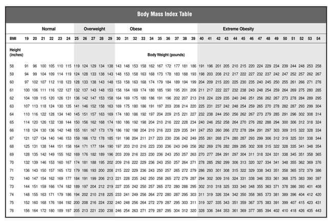 Bmi Chart Printable Pdf