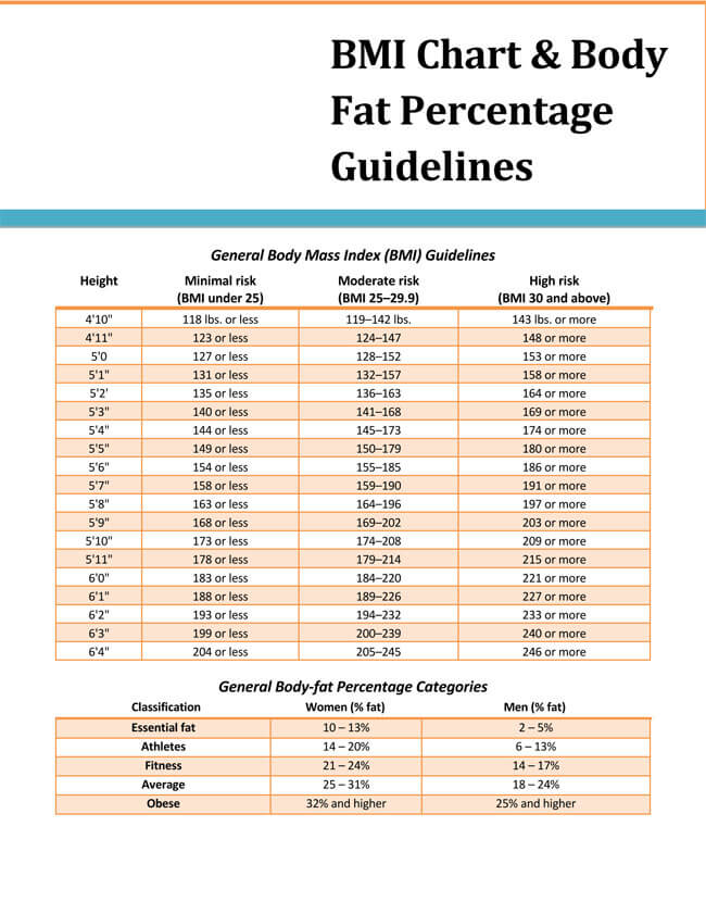 Great Editable BMI Chart and Body Fat Percentage Guideline Template for Pdf File