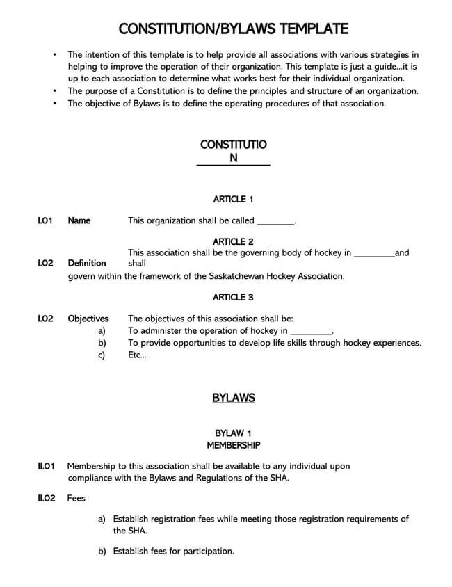 Corporate Bylaws Template 04