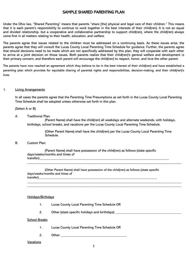 Downloadable Parenting Plan Free Template 14