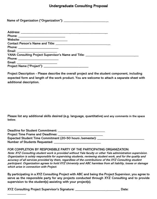 Consulting Proposal Template 05