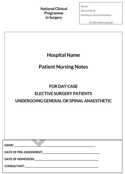 How to Write Nursing Notes (20+ Nursing Note Examples)