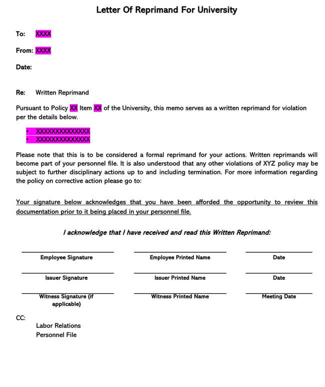 Letter of Reprimand Template 13