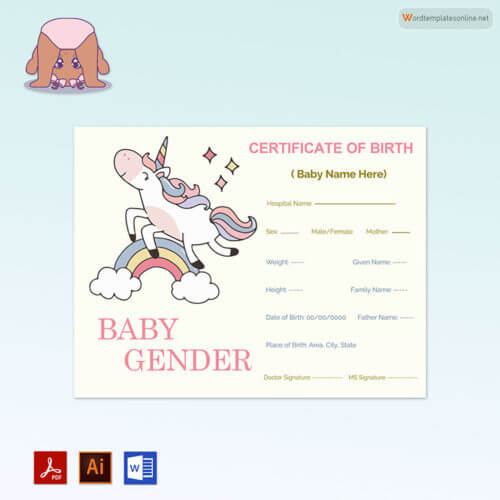 Baby Birth Certificate Sample