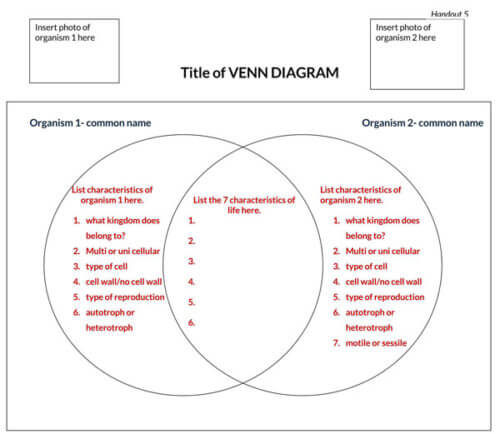 3 circle venn diagram template
