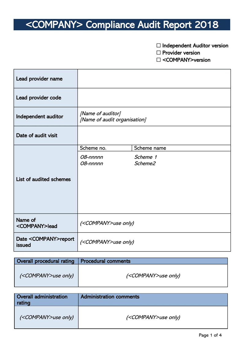 Editable Audit Report Template in word 12