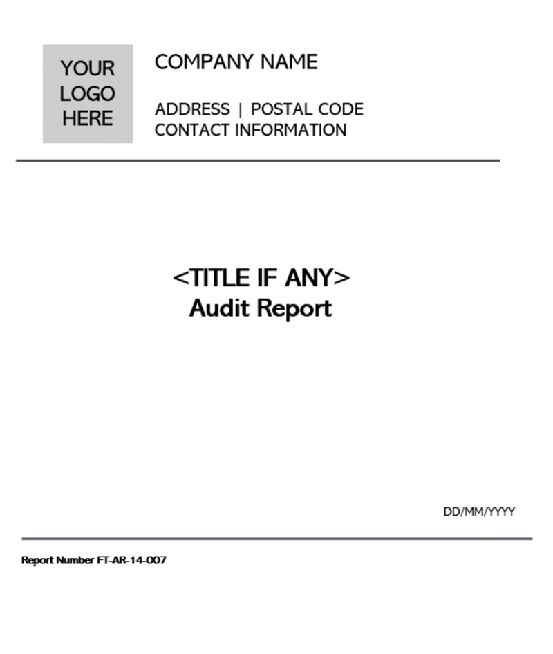 Customizable Audit Report Sample 16