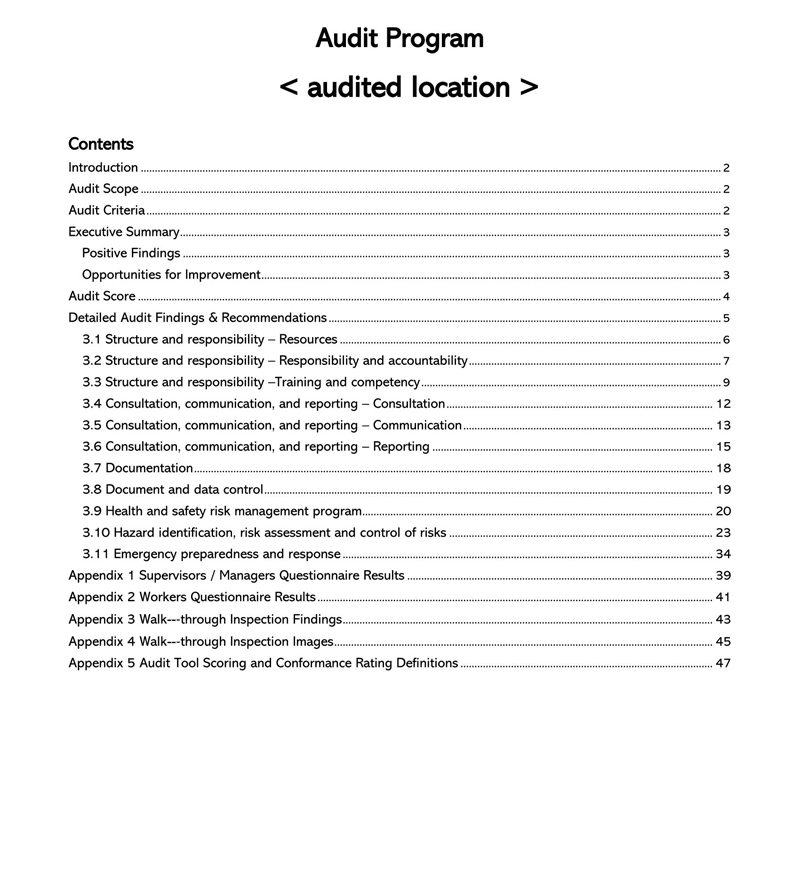 printable example of Audit Report Template 32