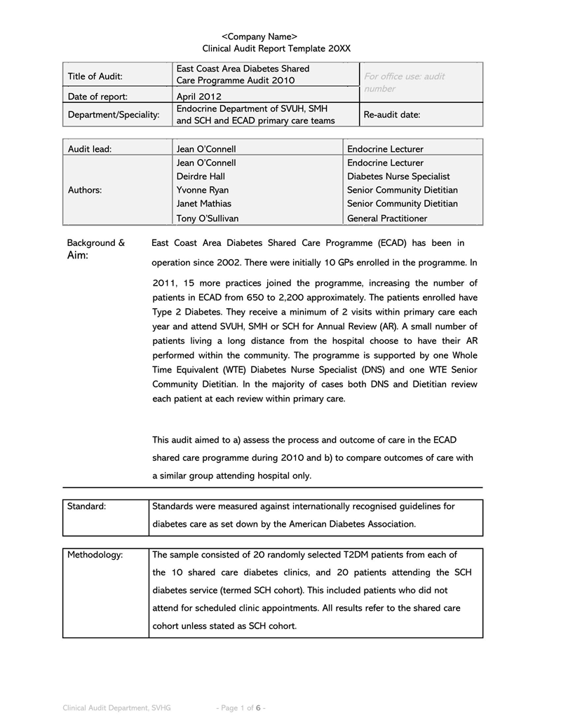 clinical Audit Report Template 34