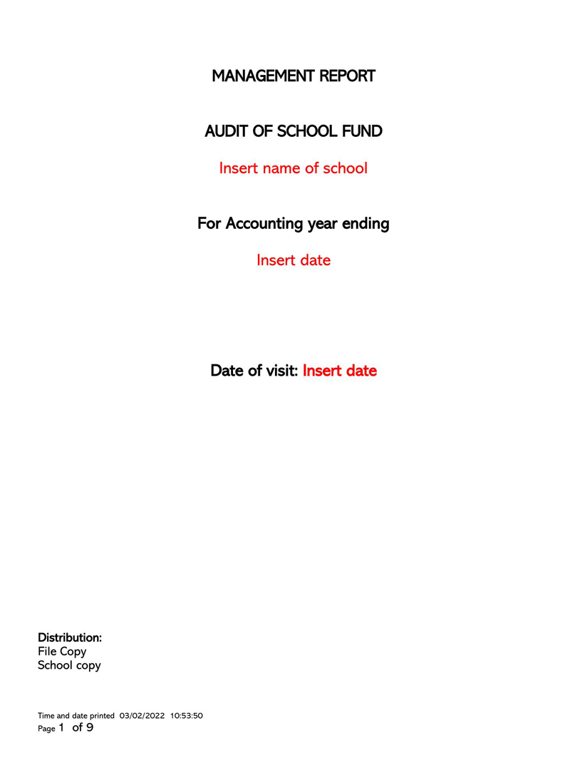 Printable Audit Report Template Sample 36
