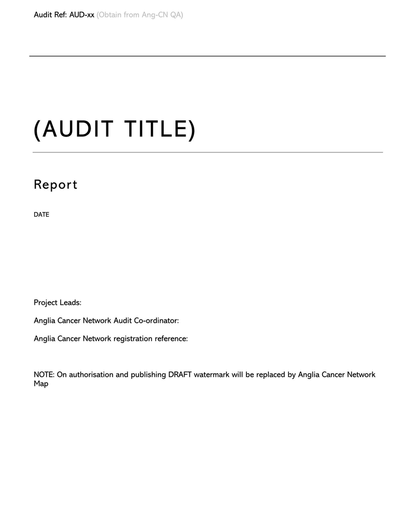 Customizable Audit Report Template 38