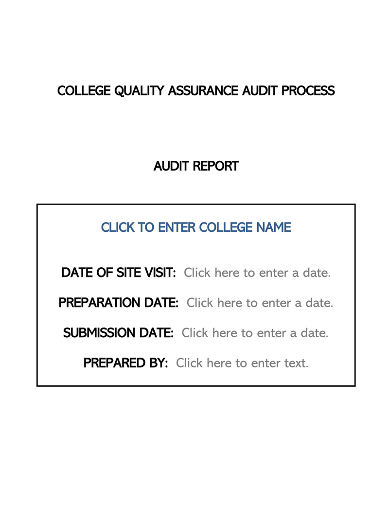 Professional Audit Report Template in Word 48