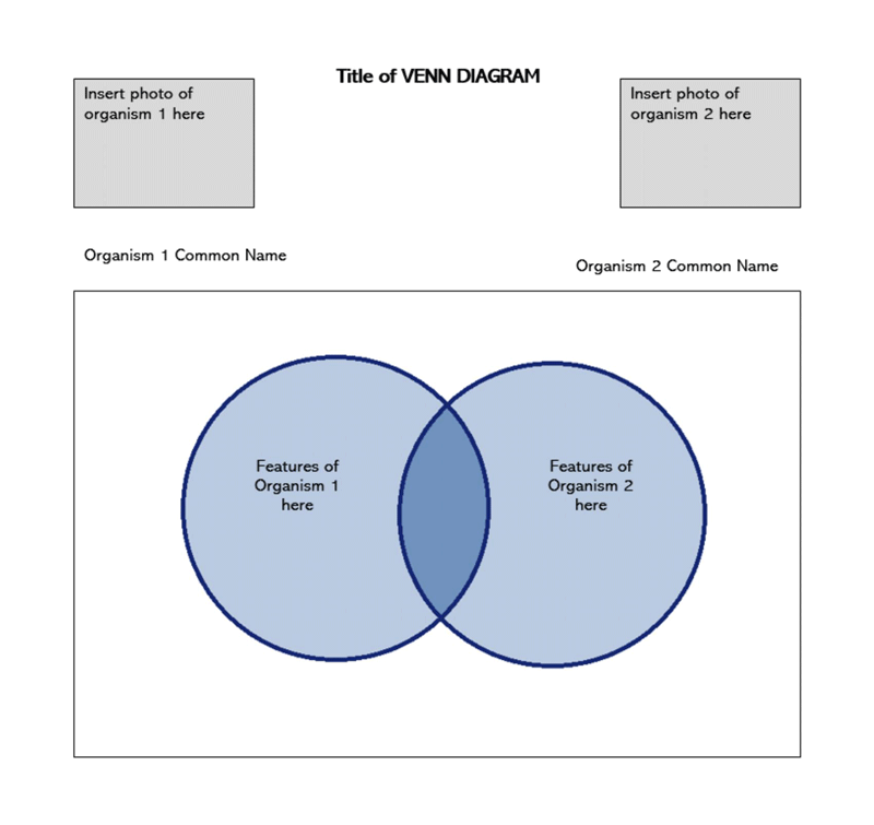 Printable Venn Diagram Template for Visual Analysis