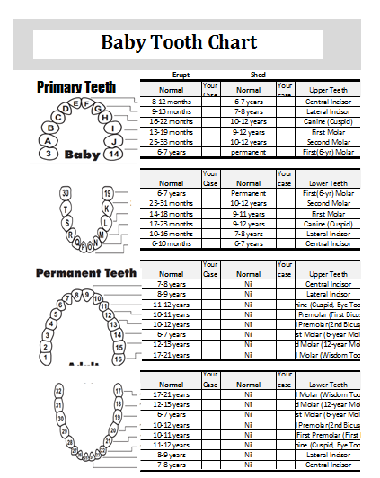 Teething Chart - Free Printable Guide
