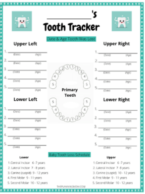 Baby Teething Tracker - Free Charts