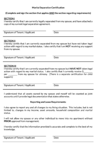38+ Free Separation Agreement Templates (Word - PDF)