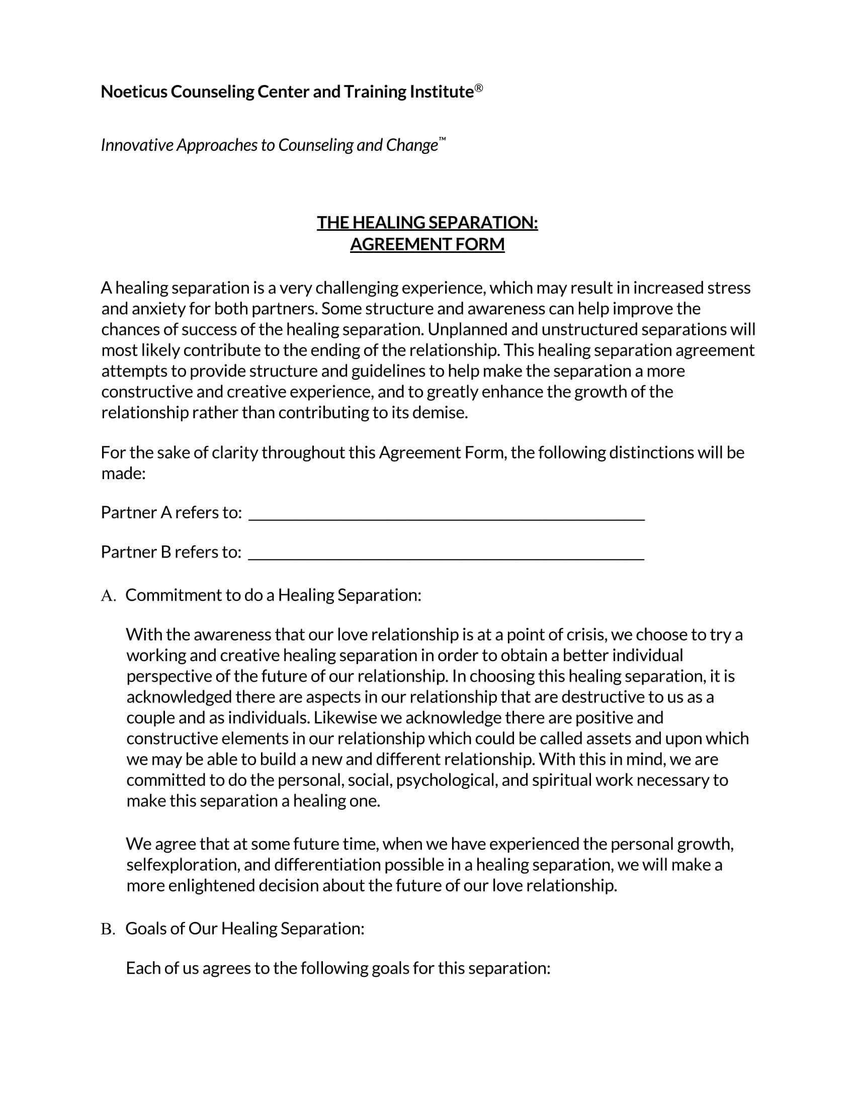 do it yourself separation agreement