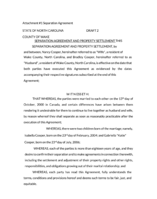 38+ Free Separation Agreement Templates (Word - PDF)