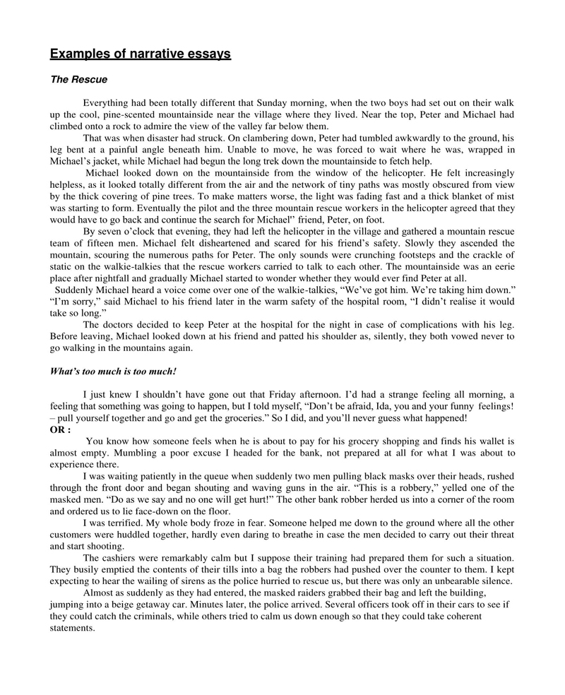Free Narrative Essay Template Example 01