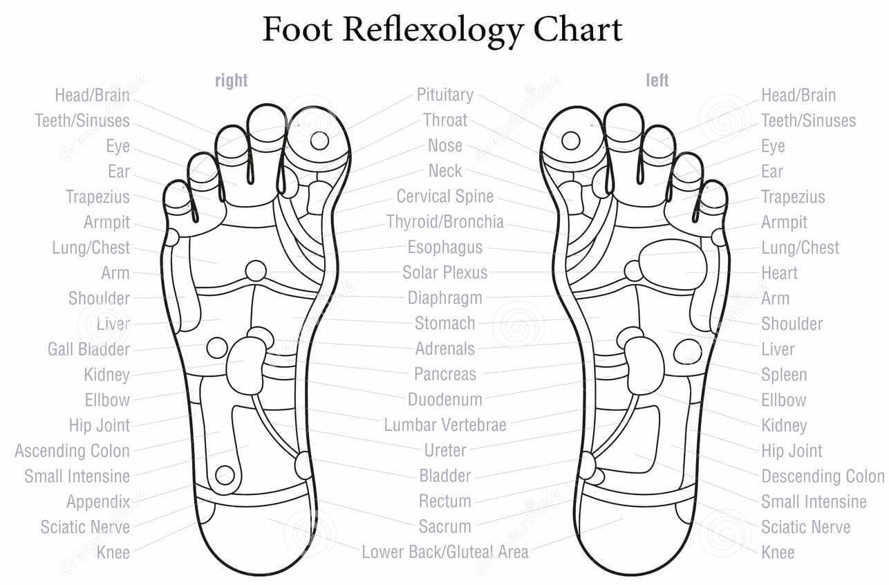 Example of Reflexology Chart for Foot Therapy