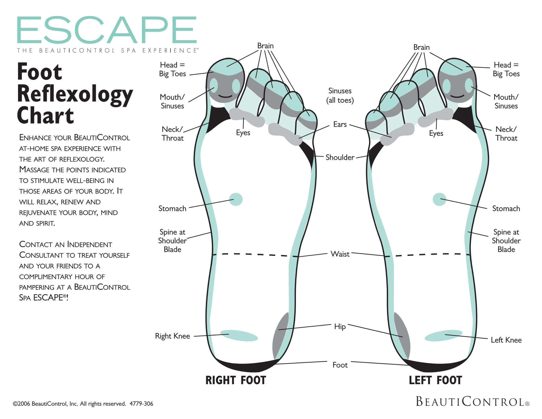 Sample Reflexology Chart Format: Clear and Visual