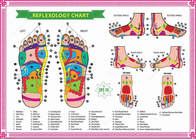 Reflexology Chart: Download Free PDF