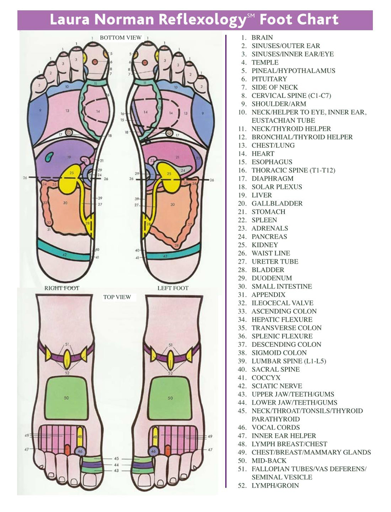 Sample Reflexology Chart in PDF for Wellness Clinics