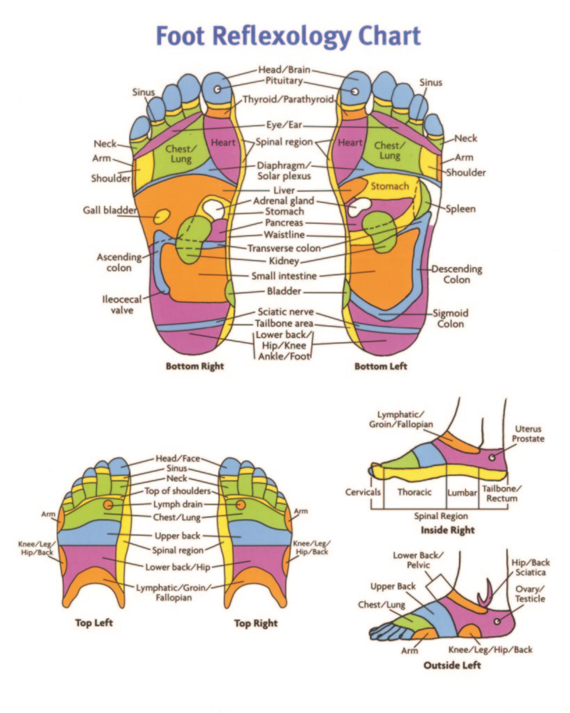 reflexology foot map female
