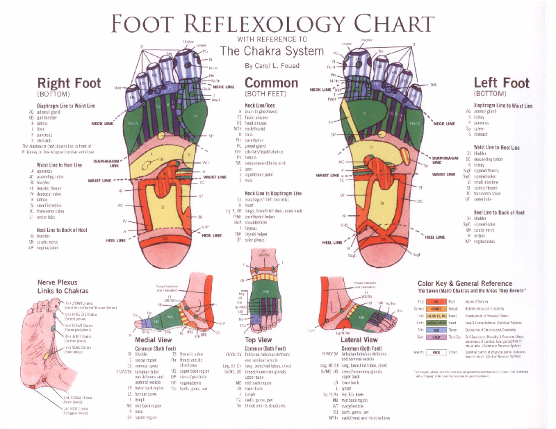 reflexology foot chart pdf