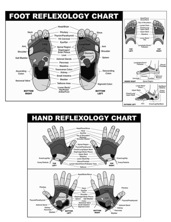 30 Free Printable Foot Reflexology Charts