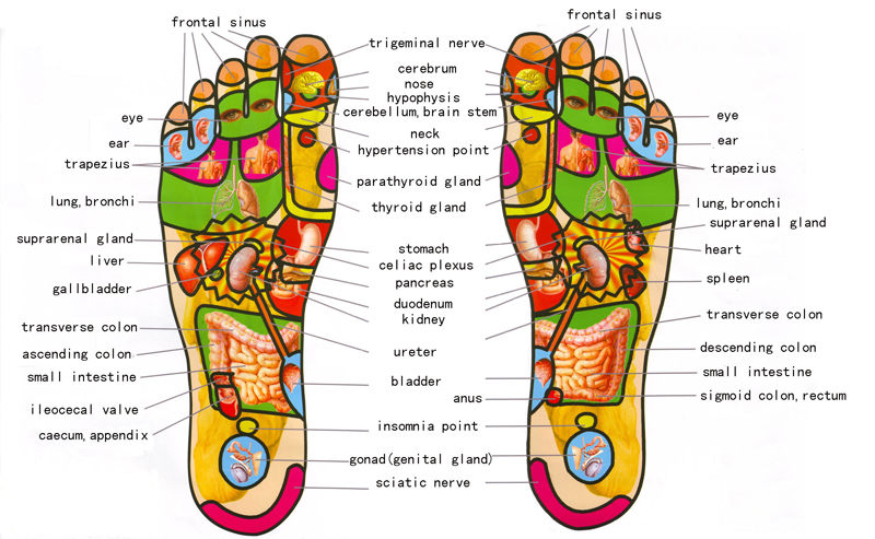 foot-reflexology-benefits